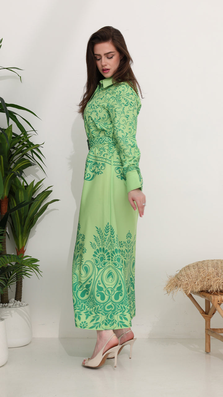 Aeloria Verde Dress